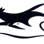 This logo was designed for a store several years ago. I liked the general idea and the positive and negative intersection of concepts.